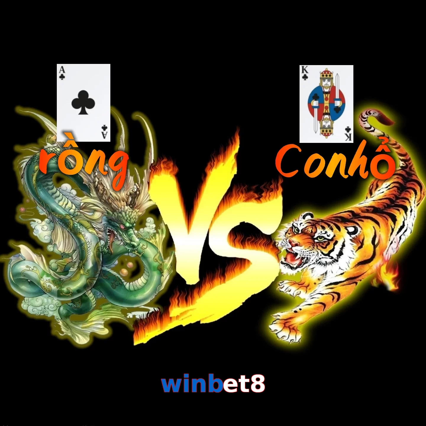 winbet8