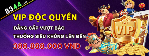 winbet8ss