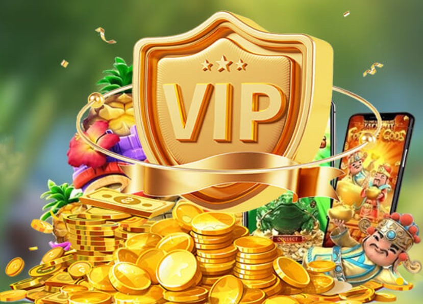 winbet8ss