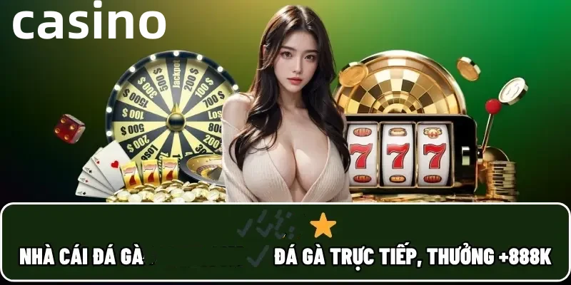 winbet8ss