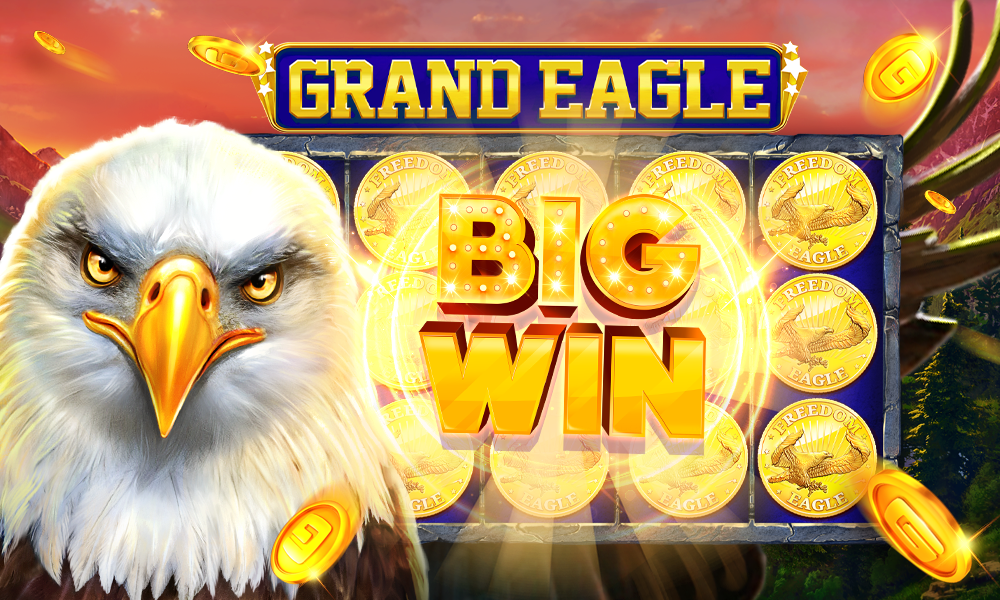 winbet8