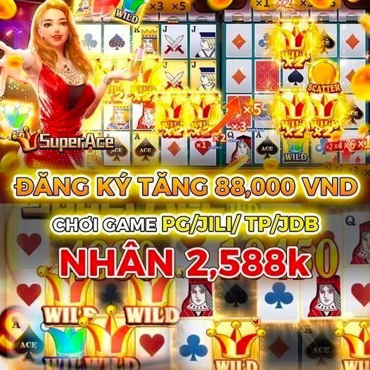 winbet8