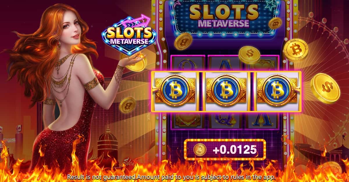 winbet8
